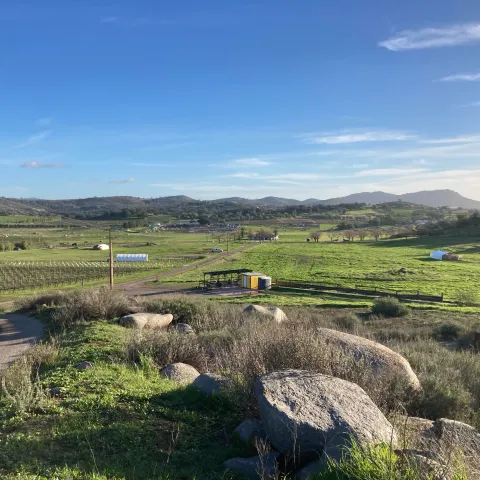 San Diego