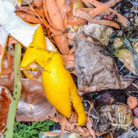 Composting 101 - Seal Beach