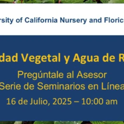 webinar en espagnol