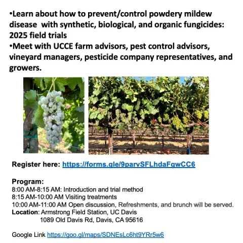 2025 Powdery Mildew Field Day