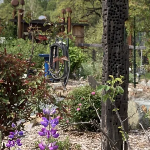 garden