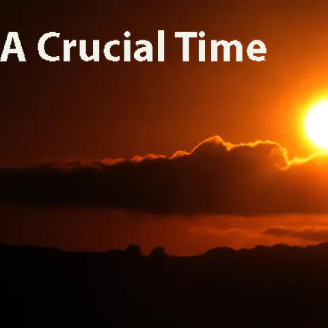 Crucial academic research could sunset. (Photo by Kathy Keatley Garvey)