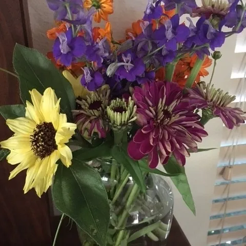 Cut Flowers