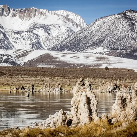 Pale columns of limestone rise above the surface of Mono Lake