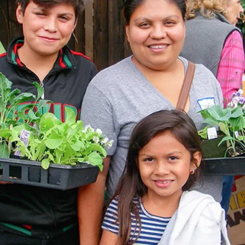 Successful gardeners