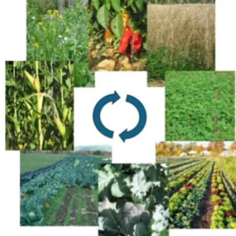 organic farms