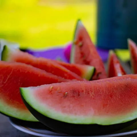 slices of red watermelon on a plate