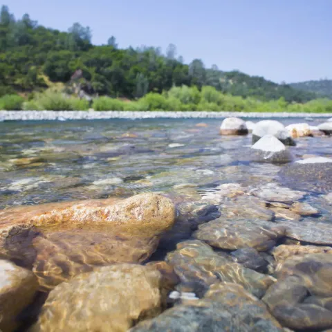 View of a river 