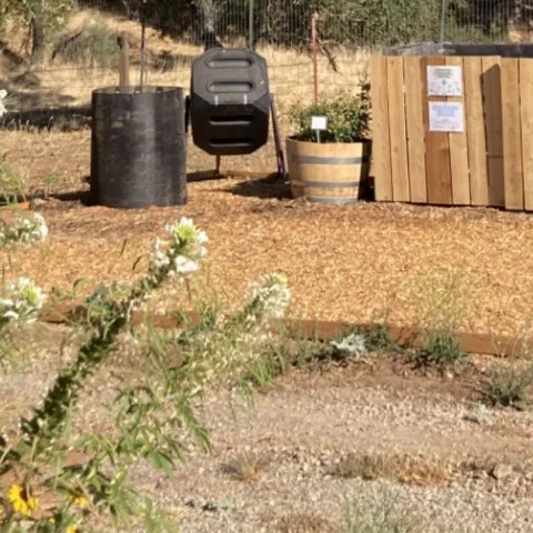 compost garden