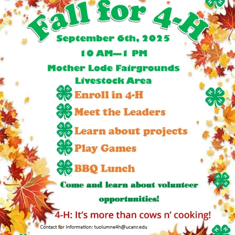 Image of a flyer advertising Fall for 4-H, an event on September 6th 2025 from 10am until 1pm at the Motherlode Fairgrounds Livestock Arena in Sonora, CA. This event will provide the opporunity to enroll in 4-H, meet volunteers, learn about 4-H projects, and more. BBQ Lunch provided.