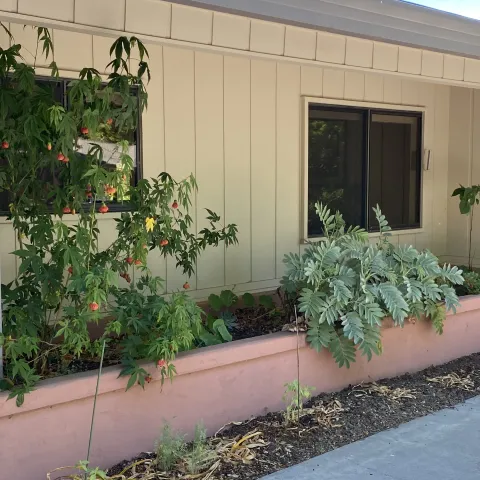 Photo of finished planter.