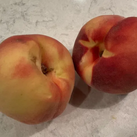 White Peaches by Brian Okamoto