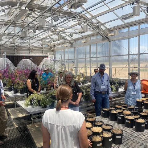 People in a greenhouse filled with flowering plants in back. In front are pots with low growing straw-colored vegetation.