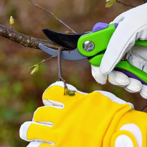hands with shears