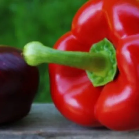 Kitchen garden vegetables