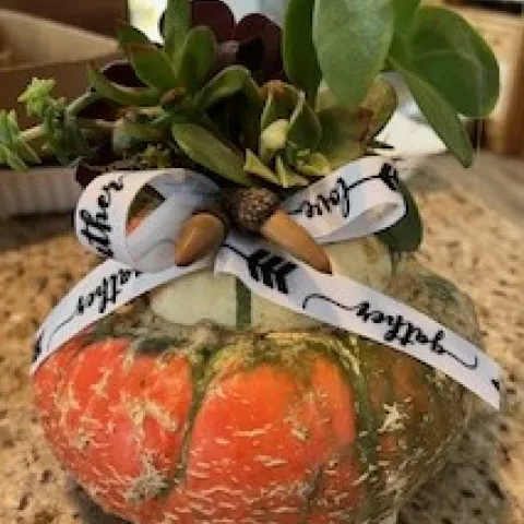 Pumpkin succulent centerpiece