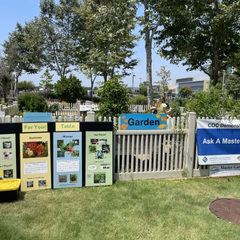 coc demo garden
