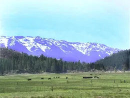 Indian Valley