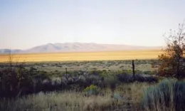 Honey Lake Valley