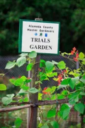 Lake Merritt Trials Garden