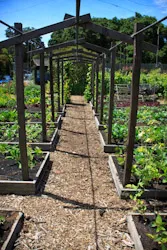 GardenLayout