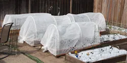 RowCover1
