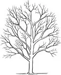A properly trained and maintained mature tree