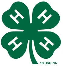 4h_mark1-30