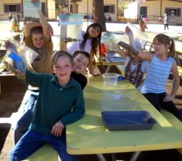 Students with Acorns