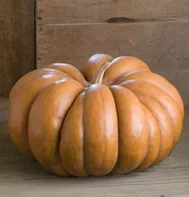 ‘Musquee de Provence’