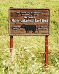 Malt sign