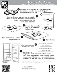 Acorn Activity