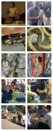 Related Images
