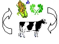 Dairy-1