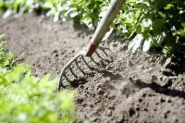 Soil