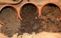 Soils
