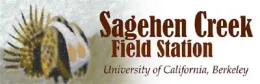 sagehen logo low res