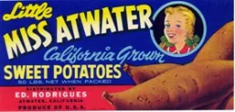 Historical Merced County Produce Labels