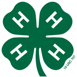 green_clover2