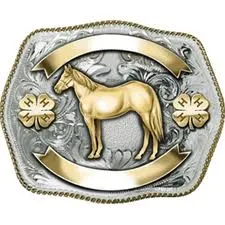 Buckle