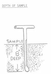 depth