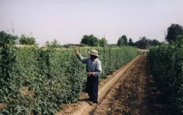 image004