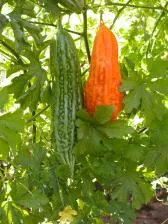 image013