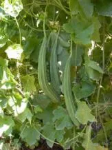 image019