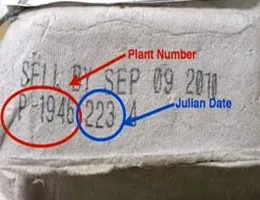 Example Egg Carton