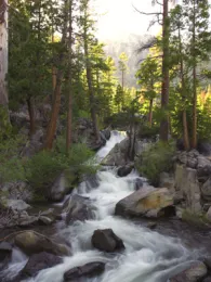 SNE_Waterfall