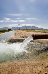 Water pipe