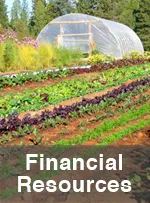 Financial Resources