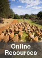 Online Resources