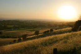 Pasture